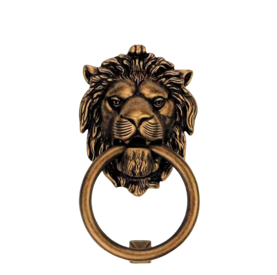 Antique bronze lion head door knocker with ring, home decor accent.